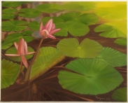 Lotus Pond, BKK